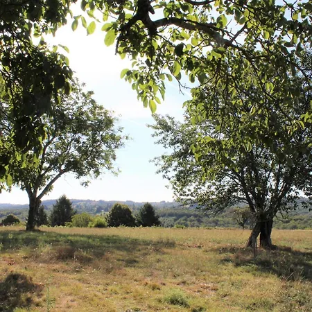 Maison Rustique Pres De Sarlat: 4 Chambres, Jardin, Wi-fi, Activites Nature, Ferme Et A Proximite - Fr-1-616-186 Apartment *