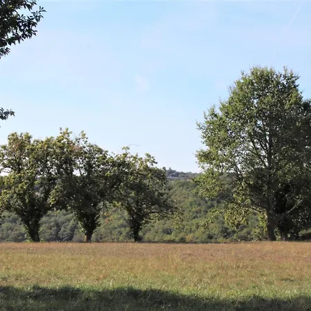 Apartment Maison Rustique Pres De Sarlat: 4 Chambres, Jardin, Wi-fi, Activites Nature, Ferme Et A Proximite - Fr-1-616-186 Tamnies